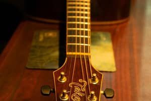 thumbnail for Takamine Guitar Serial Number Lookup & Decoder: Complete Guide (2026)