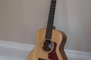 thumbnail for Taylor Guitar Setup: Action, Relief & Saddle Specs (2026)