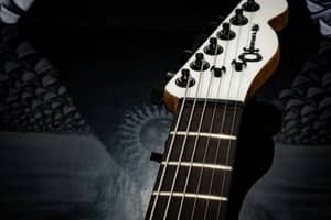 thumbnail for Charvel Serial Number Lookup & Decoder: Complete Guide (2026)