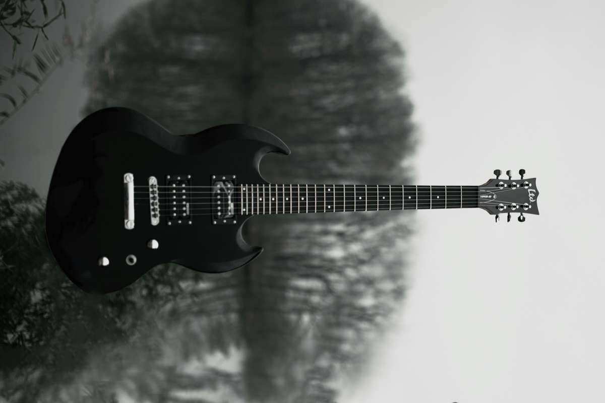 ESP Serial Number Lookup Guide