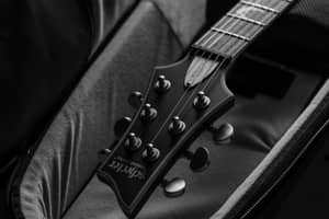 thumbnail for Schecter Serial Number Lookup & Decoder: Complete Guide (2026)