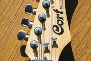 thumbnail for Cort Guitar Serial Number Lookup & Decoder: Complete Guide (2026)
