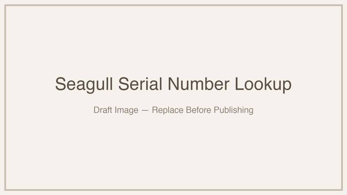 Seagull acoustic guitar