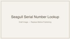 featured image thumbnail for post Seagull Guitar Serial Number Lookup & Decoder: Complete Guide (2026)